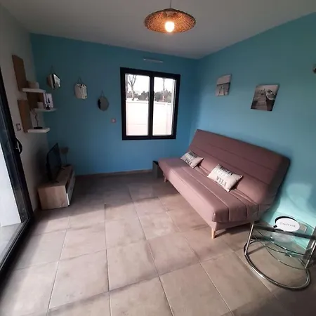 Maison Neuve De 40m2avec Jardin Clos Et Terrasse Ensoleillee Entre Ocean, Lac Et Foret De Pins Ychoux