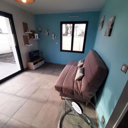 Maison Neuve De 40m2avec Jardin Clos Et Terrasse Ensoleillee Entre Ocean, Lac Et Foret De Pins Tatil Evi *