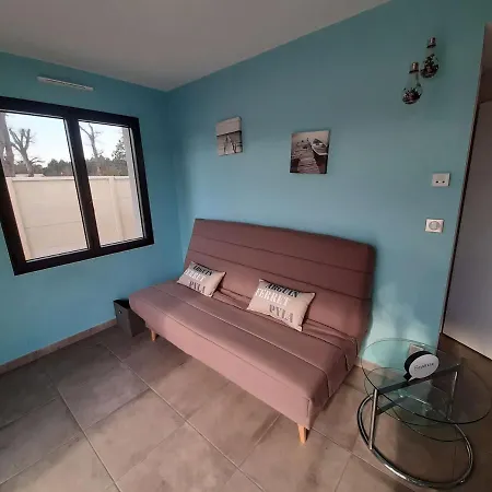 Maison Neuve De 40m2avec Jardin Clos Et Terrasse Ensoleillee Entre Ocean, Lac Et Foret De Pins Tatil Evi *